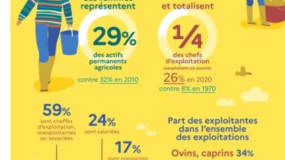 674b77050e97f5a779c3b4c3_65f3201c3d4665b4caccb3f2_Infographie20dansagriculture_MASA
