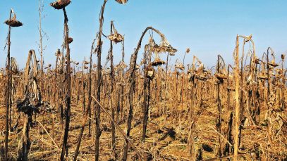 affronter-les-effets-changement