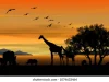 african-wildlife-background-nature-savanna-260nw-1074633464
