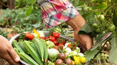 agriculture-biologique-1