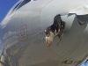 air-journal-collision-aviaire-copyright-twitter-miami-international-airport-600×310